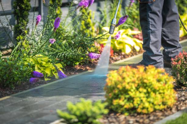Best Driveway Pressure Washing  in Lake Andes, SD